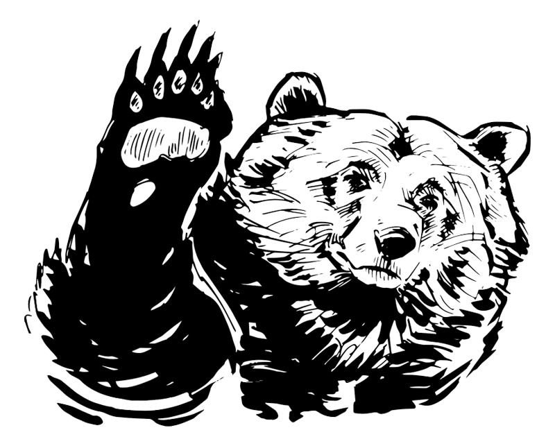 Illustration à la plume d'un ours, dessiné par Thomas Sanson